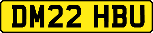 DM22HBU