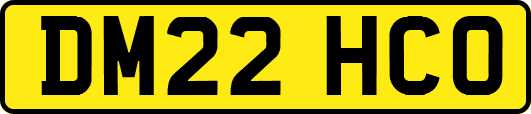 DM22HCO