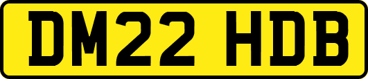 DM22HDB