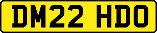 DM22HDO