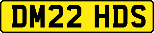 DM22HDS