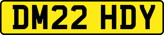 DM22HDY