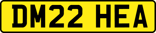 DM22HEA