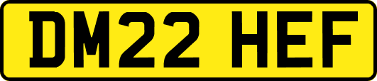 DM22HEF