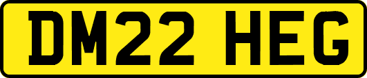 DM22HEG
