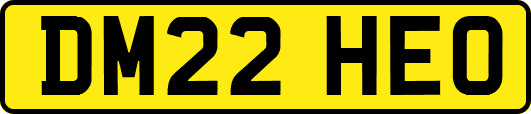 DM22HEO