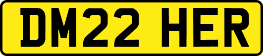 DM22HER