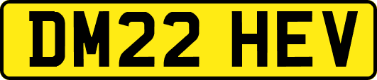 DM22HEV