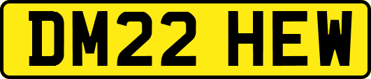 DM22HEW