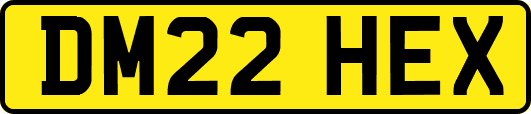 DM22HEX
