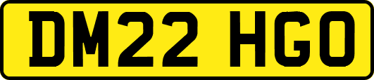 DM22HGO