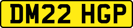 DM22HGP