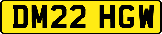 DM22HGW