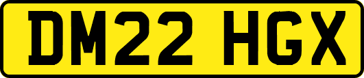 DM22HGX
