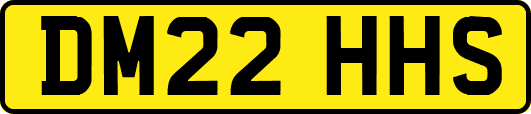 DM22HHS