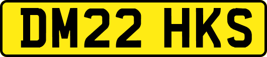 DM22HKS