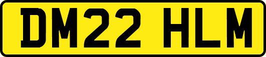 DM22HLM