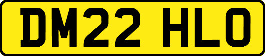 DM22HLO