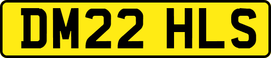 DM22HLS