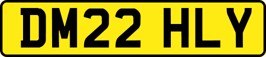 DM22HLY
