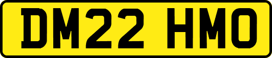 DM22HMO