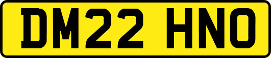 DM22HNO