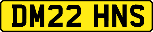 DM22HNS