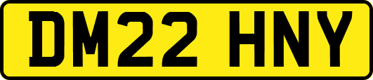 DM22HNY