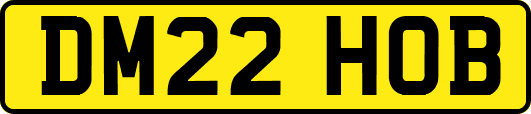 DM22HOB