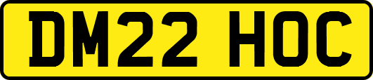 DM22HOC