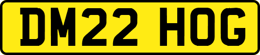 DM22HOG