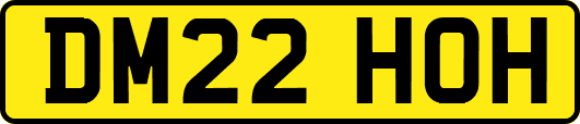 DM22HOH
