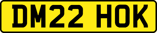 DM22HOK
