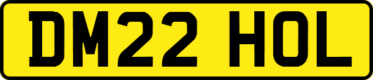 DM22HOL
