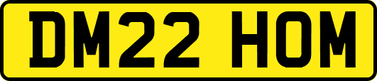 DM22HOM