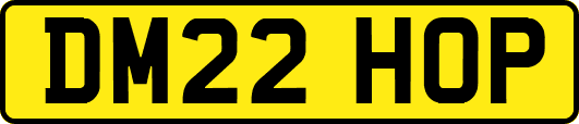 DM22HOP