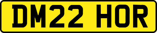 DM22HOR