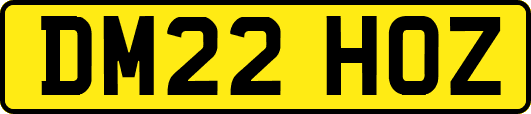 DM22HOZ