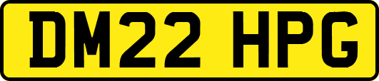 DM22HPG