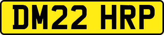 DM22HRP
