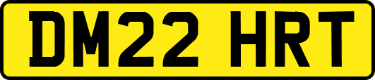 DM22HRT