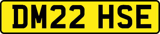 DM22HSE