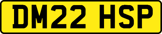 DM22HSP