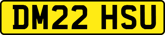 DM22HSU