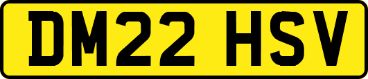 DM22HSV