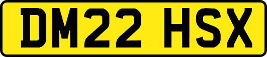 DM22HSX