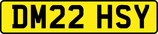 DM22HSY