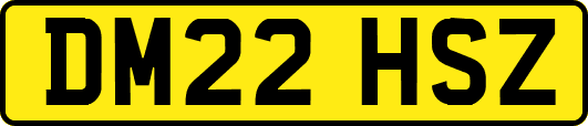 DM22HSZ