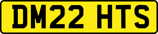 DM22HTS