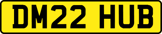 DM22HUB